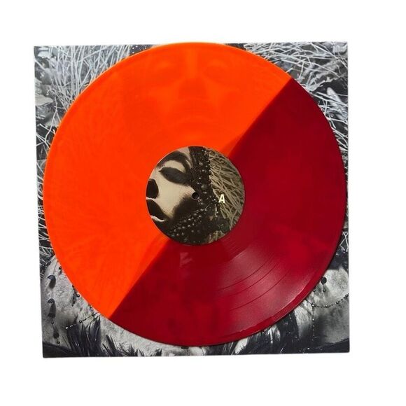 Autographed Converge Jane Live 2LP – Newbury Comics Exclusive Flame Vinyl - Picture 9 of 13